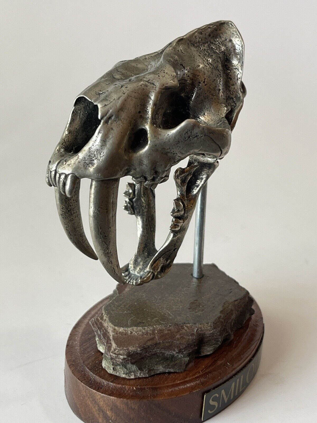 Smilodon Head Statue  movable Jaw From The Primordial Profiles Collection
