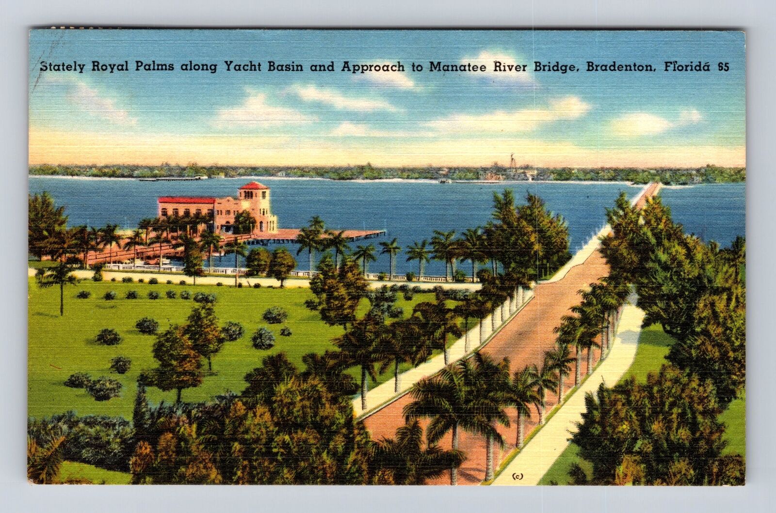 Bradenton FL-Florida, Stately Royal Palms, Antique, Vintage c1961 Postcard