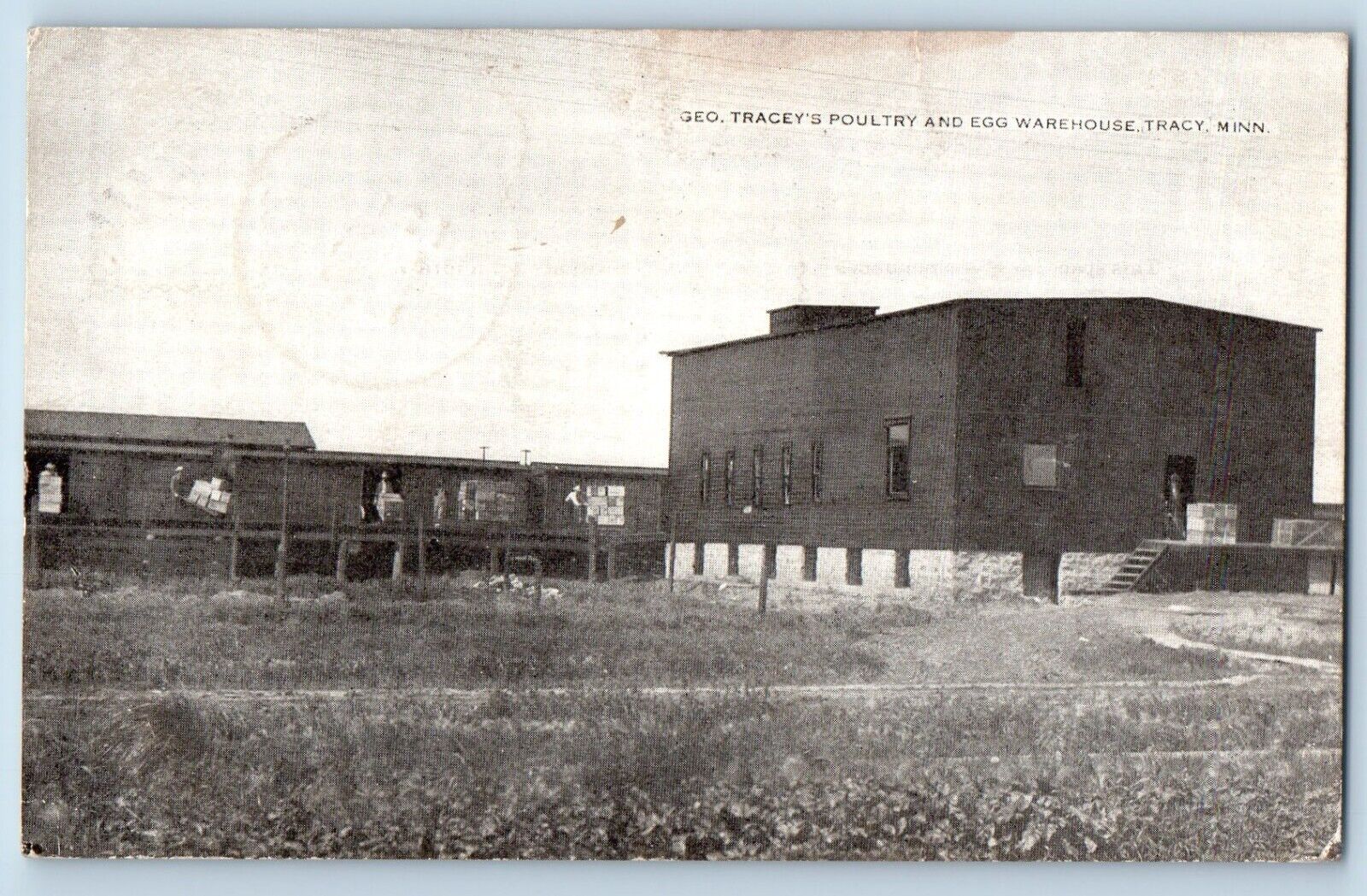 Tracy Minnesota Postcard Tracey's Poultry Egg Warehouse Exterior c1910 Vintage