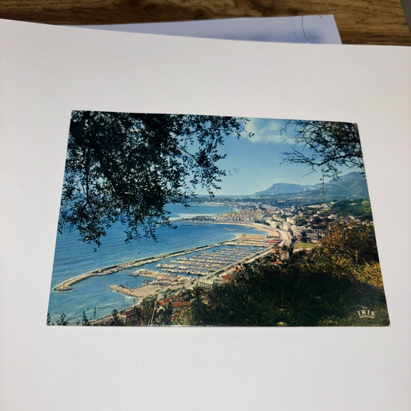 Reflets De La Cote D\' Azure Menton France Panoramic View Vintage Postcard