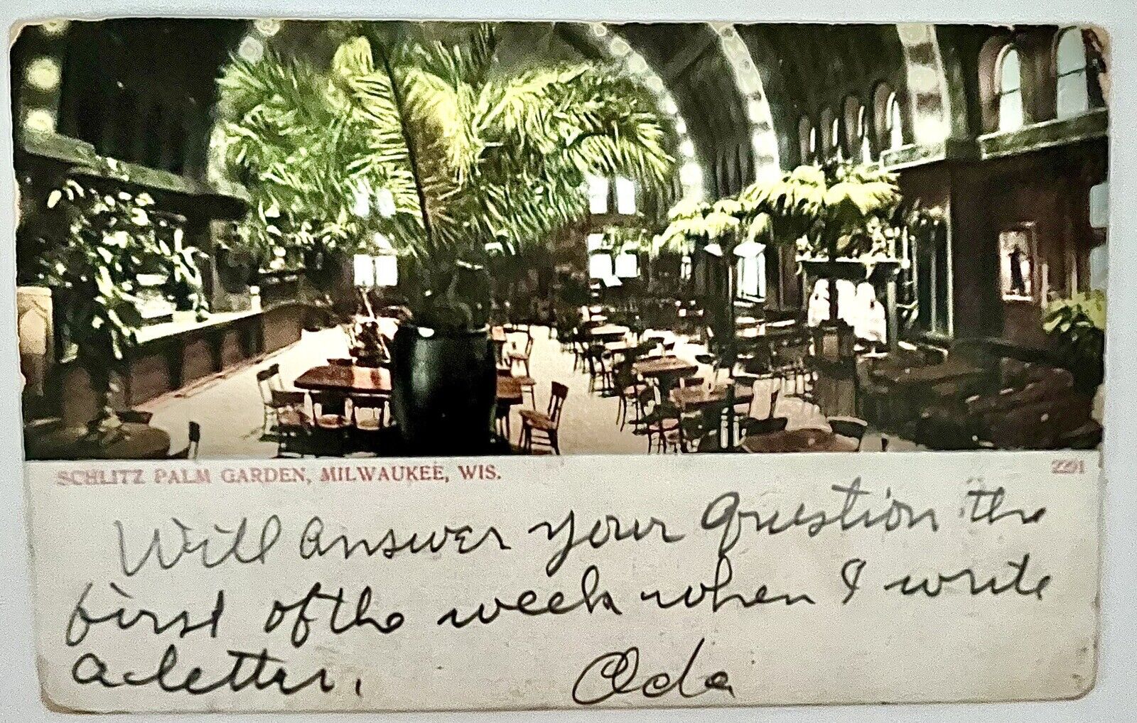 Milwaukee, Wisconsin Schlitz Palm Garden Antique 1907 Postcard Restaurant Cafe