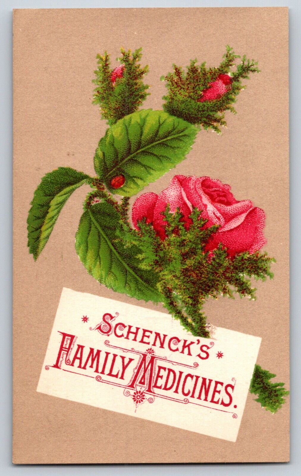 Schenck\'s Family Medicines Victorian Trade Card Seaweed Tonic Mandrake Pills