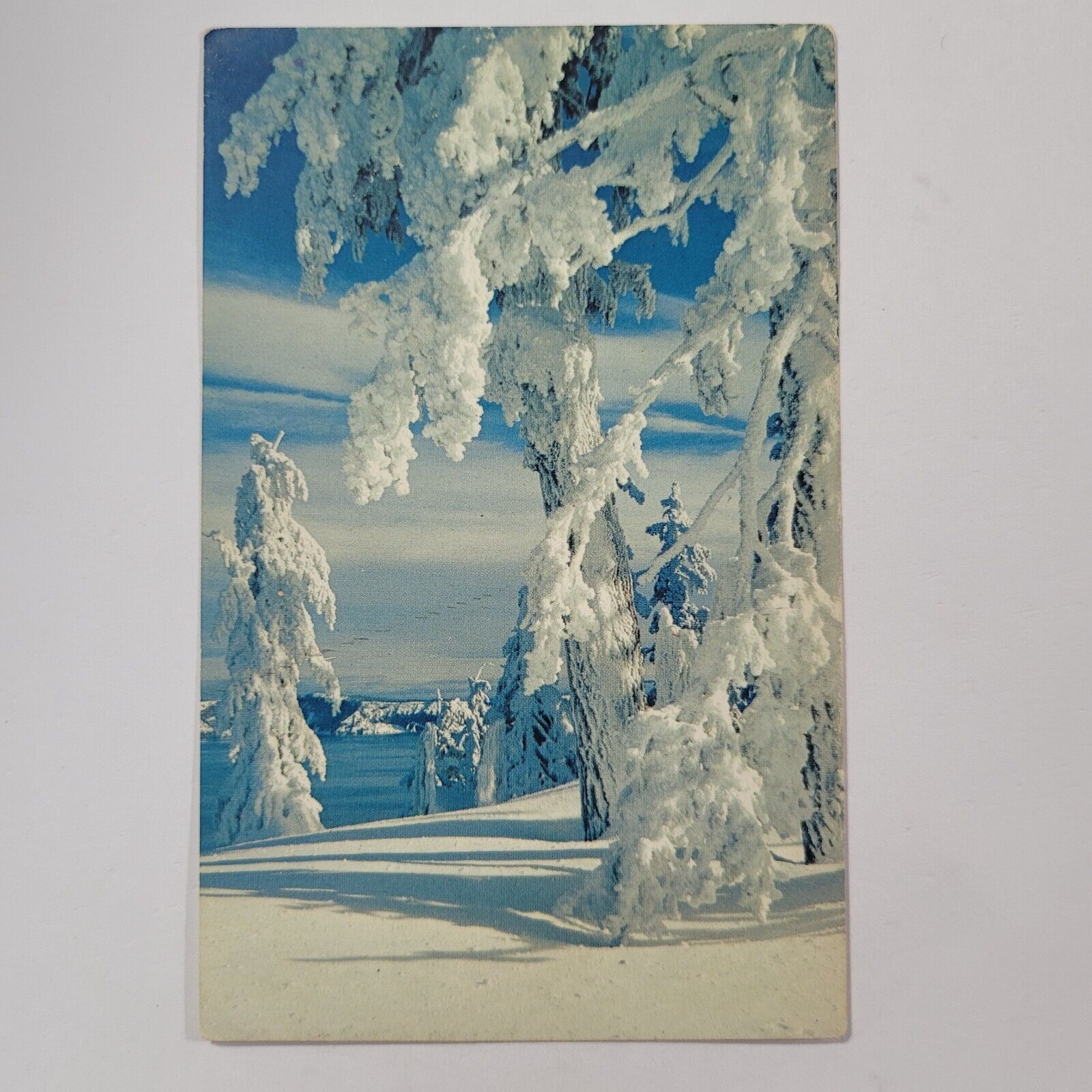 Crater Lake National Park Oregon Cascade Mountain Snow Trees Vintage Postcard