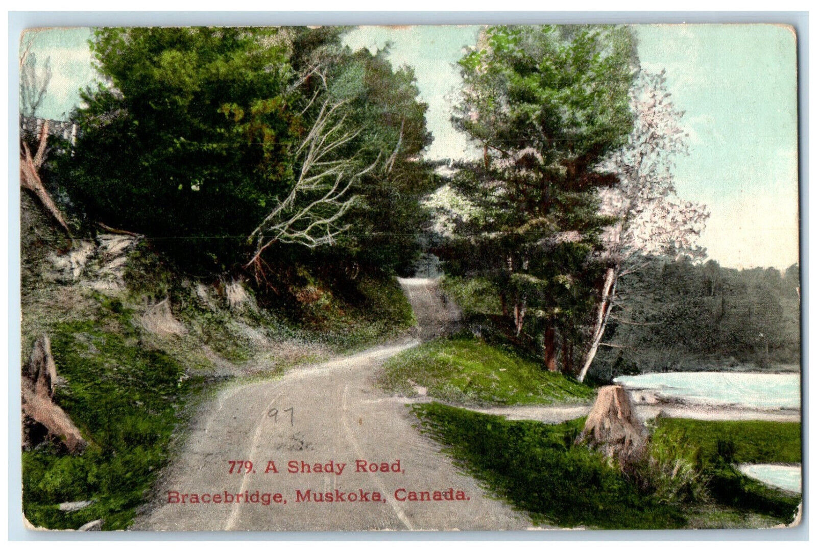 1908 A Shady Road Bracebridge Muskoka Ontario Canada Posted Antique Postcard