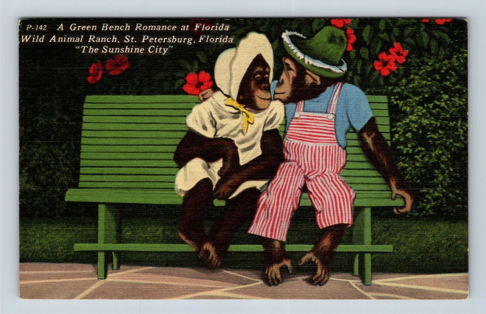 Green Bench Dressed Monkeys Kissing St Petersburg FL Florida Vintage Postcard
