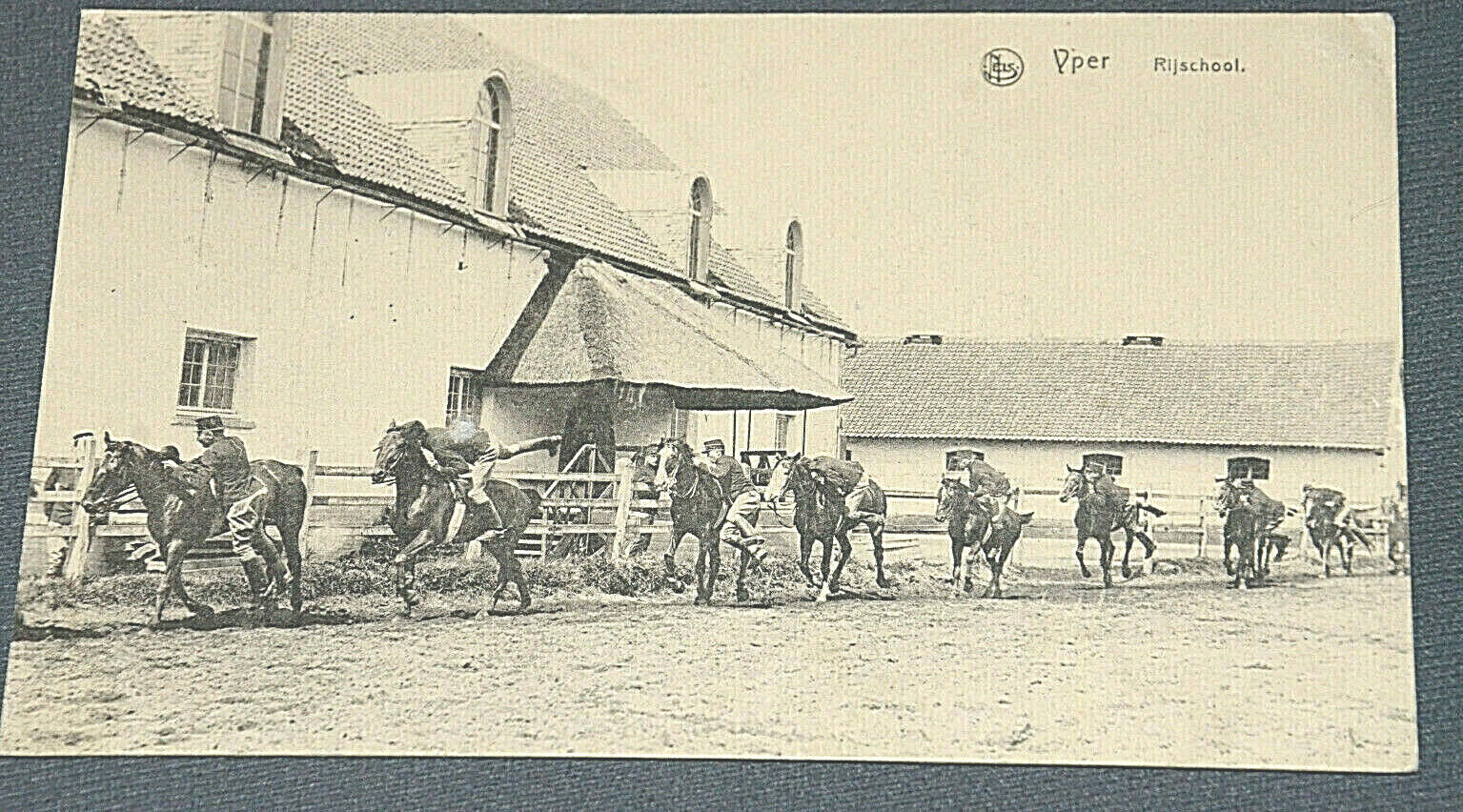52149 Ak Belgium With Feldpoststempel Yper Rijschool Horses With Jockey