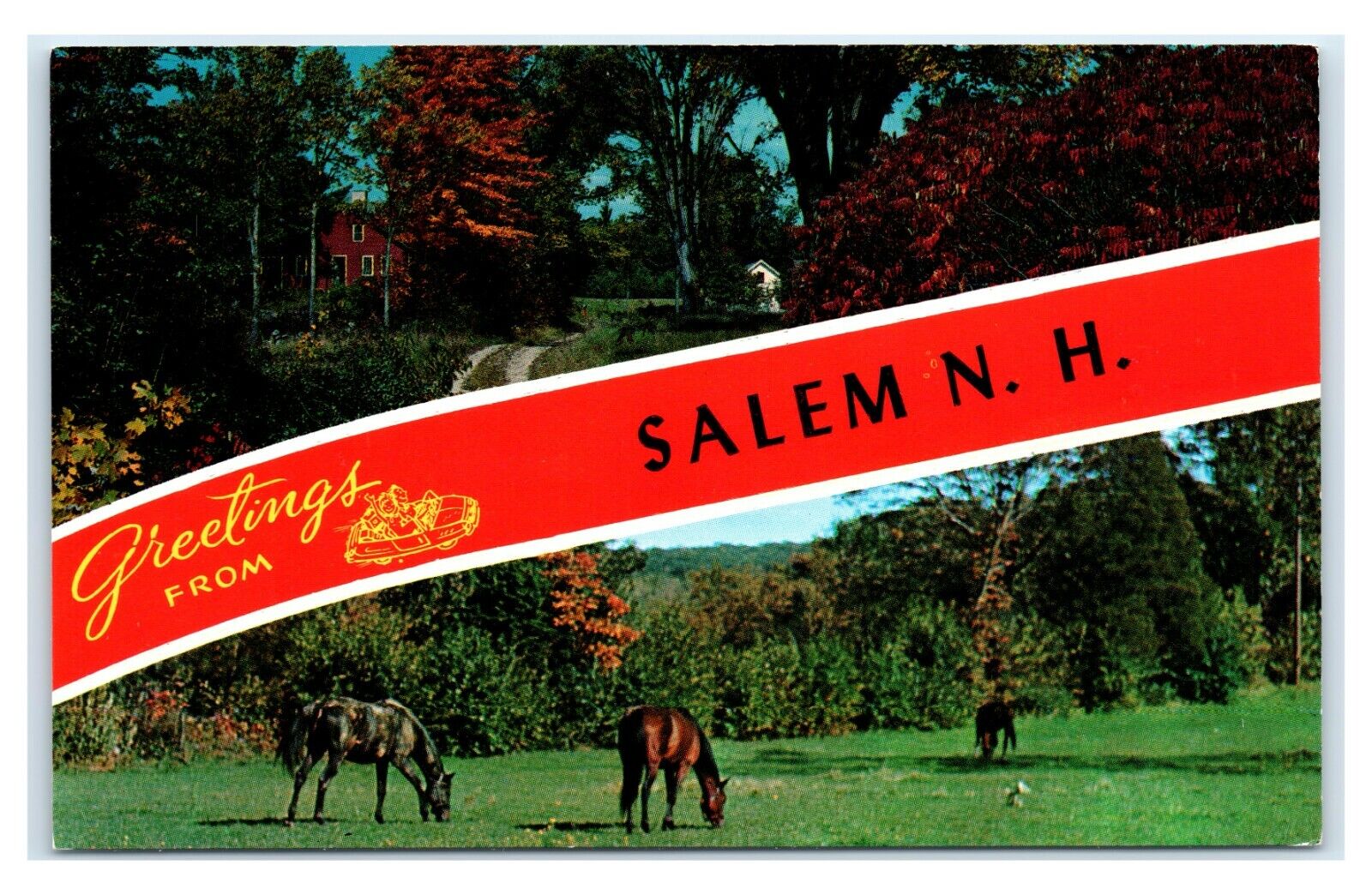 Postcard Greetings from Salem NH horses L13