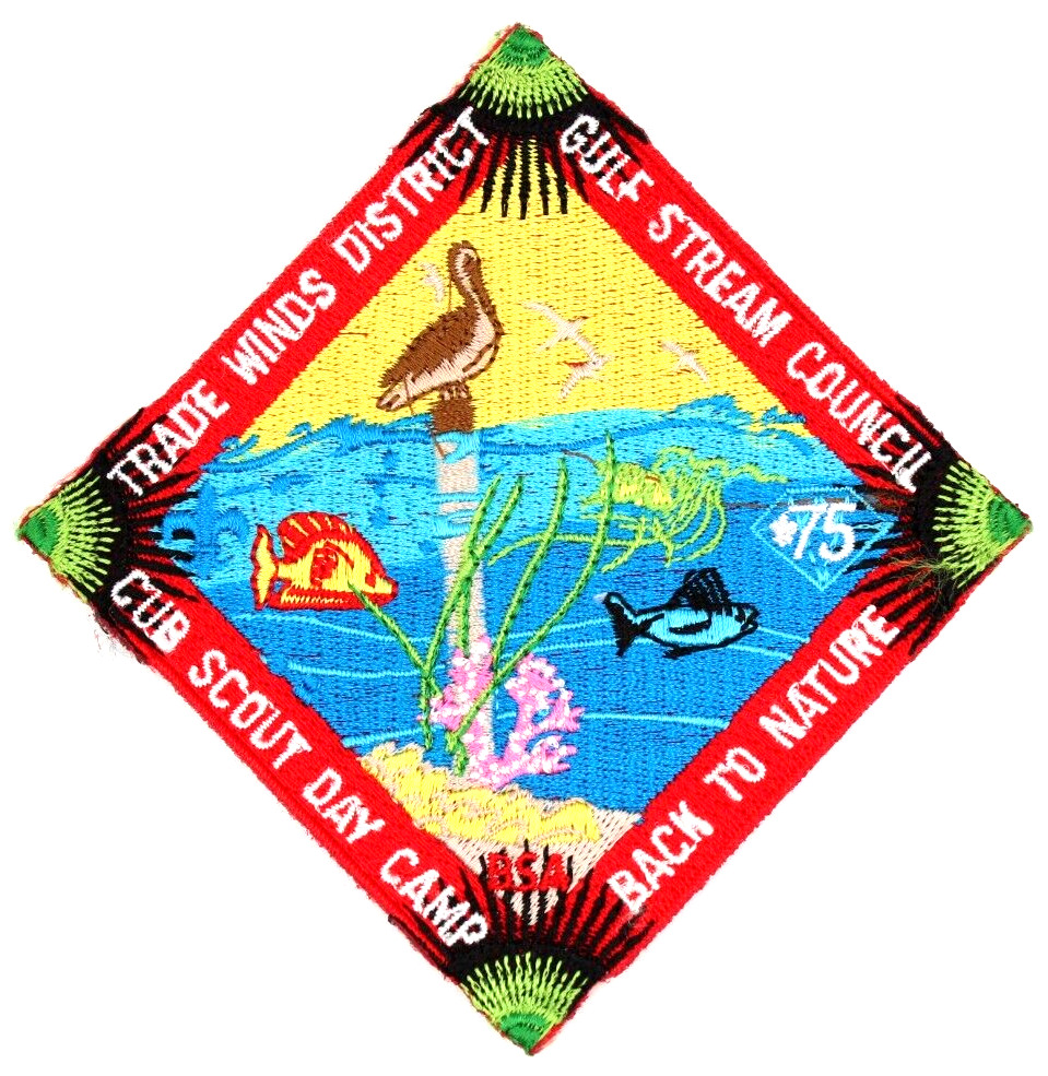 1985 Cub Scout Day Camp Trade Wind District Gulf Stream Council Patch Florida FL