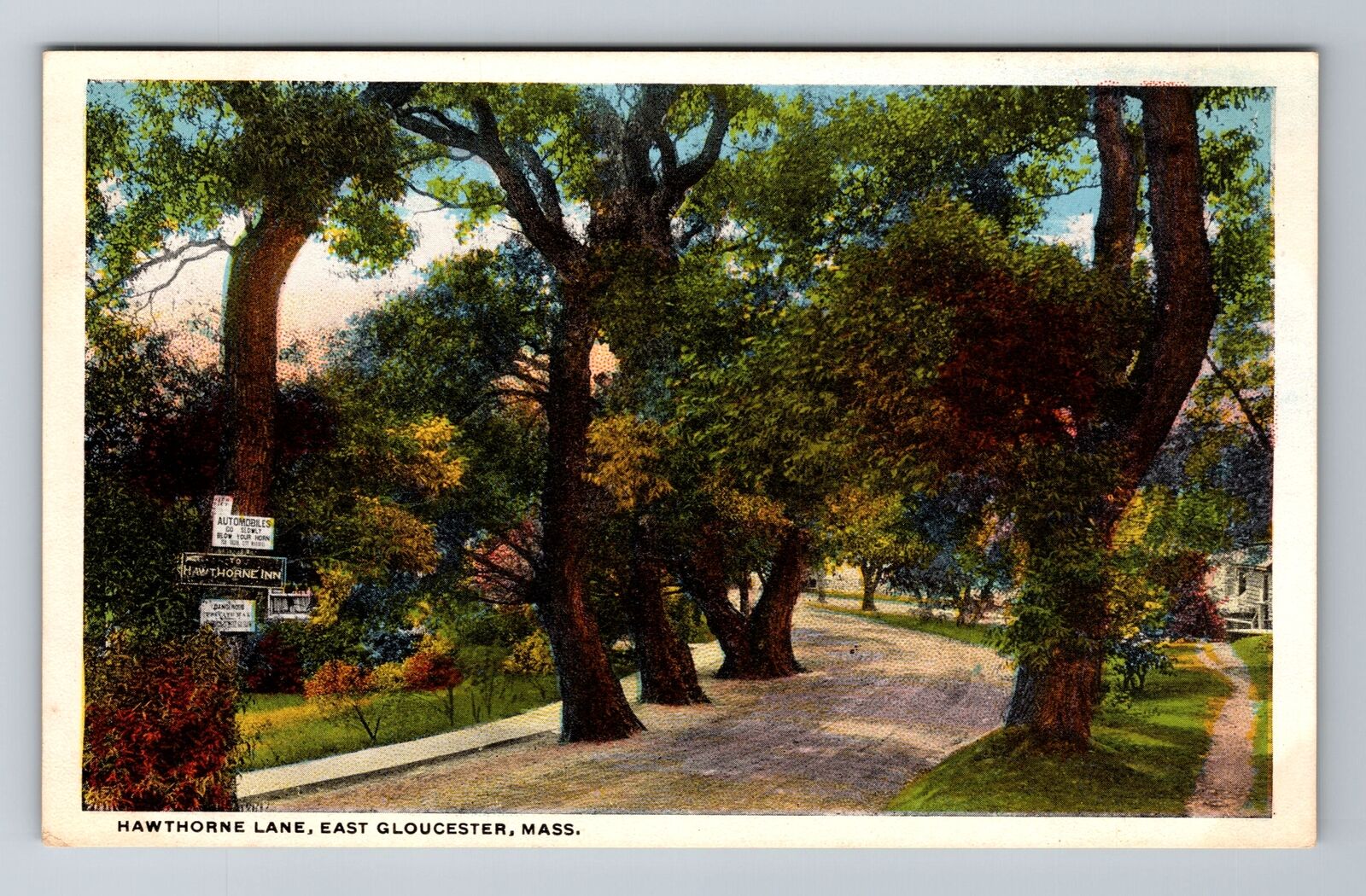 East Gloucester, MA-Massachusetts, Hawthorne Lane Antique, Vintage Postcard