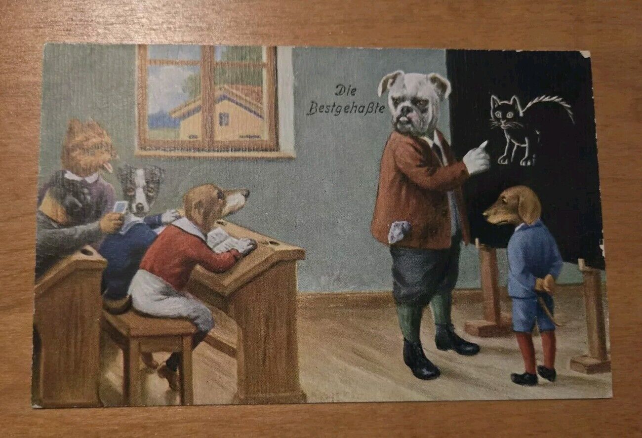 Anthropomorphic Dressed Dogs In School Fantasy Postcard