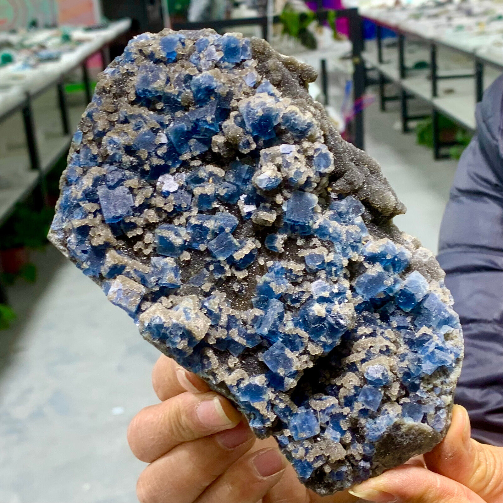 1.61LB Rare Natural blue cubic fluorite mineral crystal sample/China