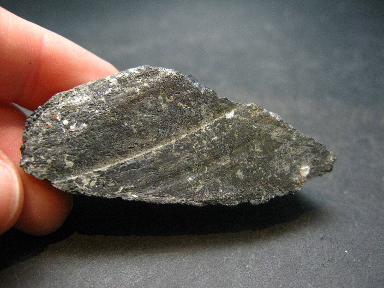 Rare Nuumite Nuummite Raw Piece From Greenland - 37.97 Grams - 2.2\