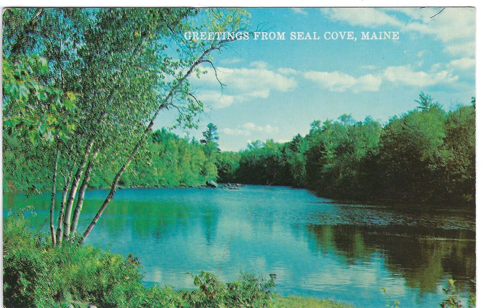 Greetings from Seal Cove, Maine Postcard, Unposted, RPPC