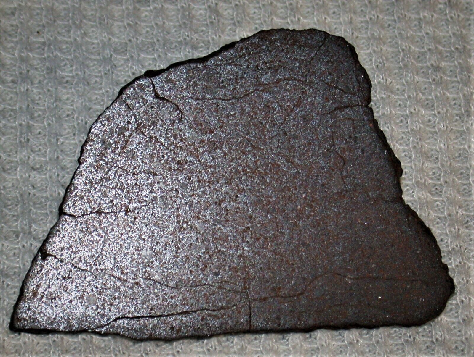 NWA 15122 (H4) - 16.1 g meteorite slice (Awesome Metals)
