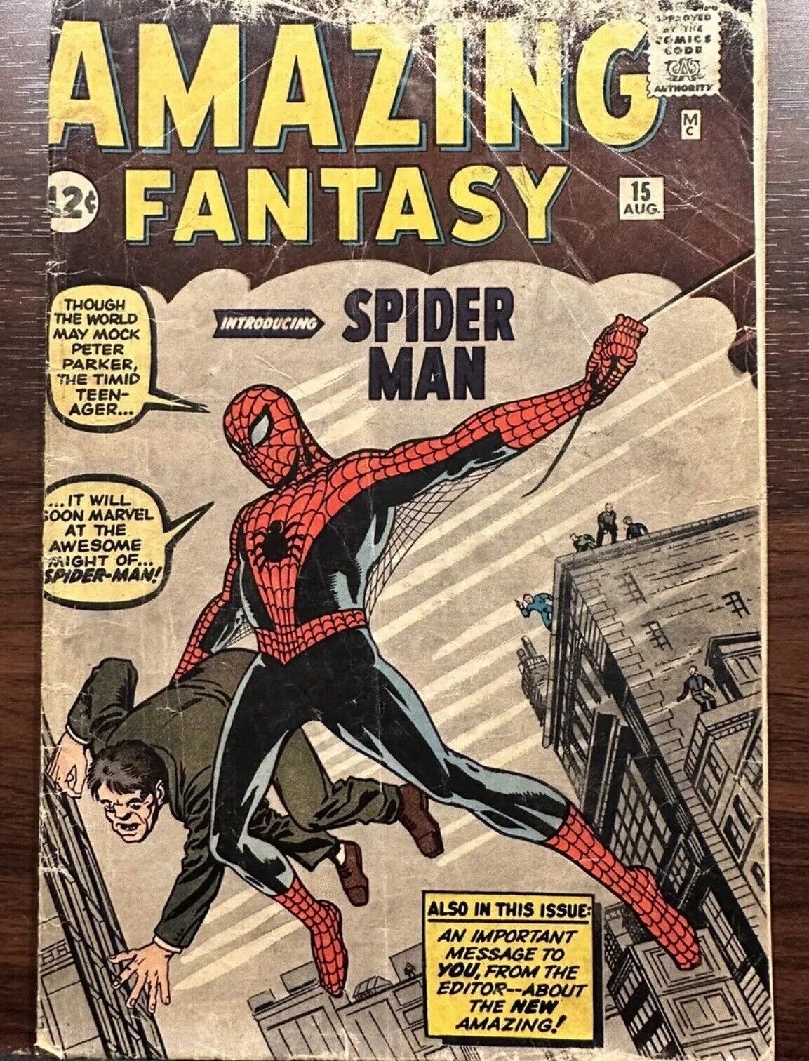 Amazing Fantasy #15 1962 1st Spider-Man