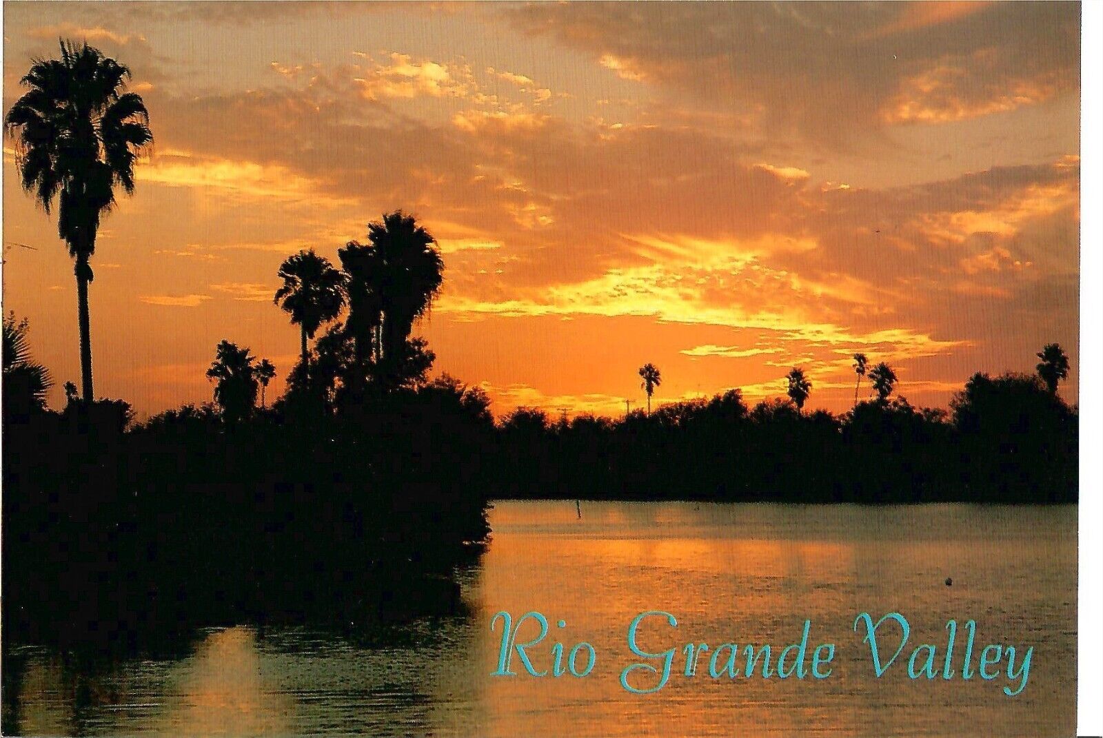 NEW Postcard Rio Grande Valley Texas sunset palm tree 4x6 Postcrossing Collector