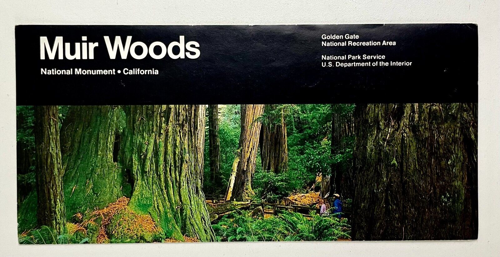 1987 Muir Woods Golden Gage National Recreation Area California VTG Travel Guide