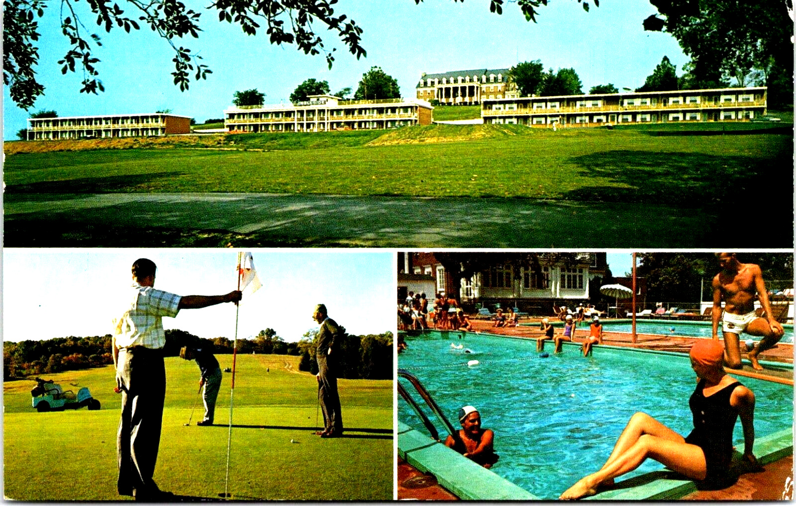 Postcard Ingleside Motel, Staunton, Virginia, Pool, Gold Course