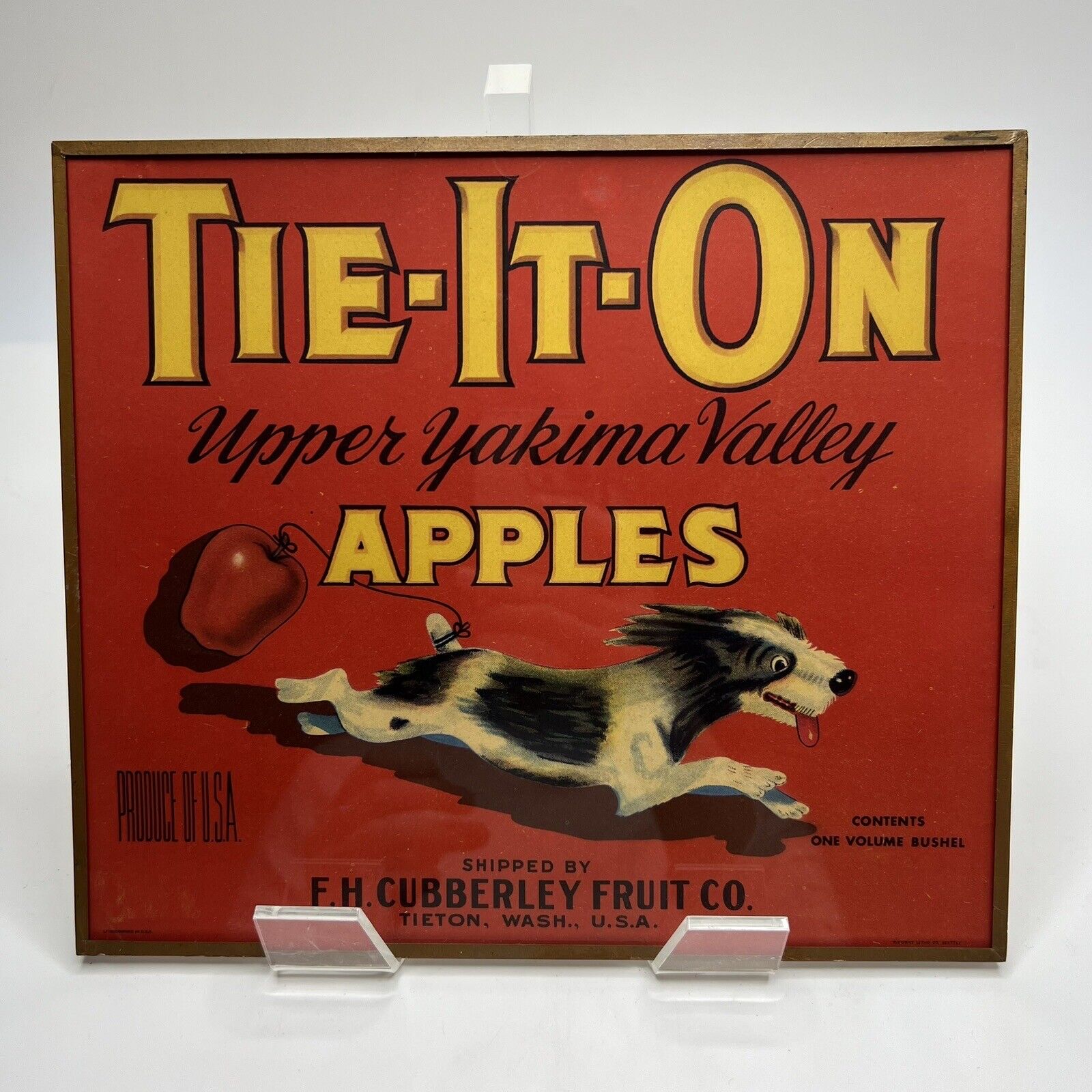 Antique Vintage Tie IT Terrier Dog Fruit Yakima Valley Apple Art Print Sign
