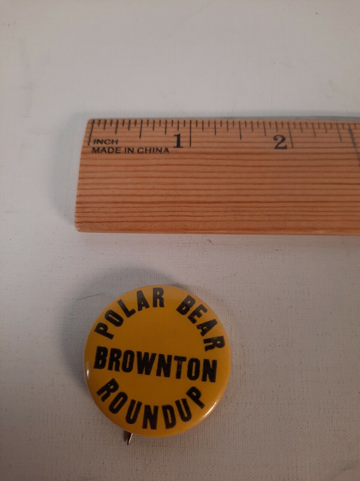 Vintage polar bear roundup Pinback Button pin brownton mn Minnesota