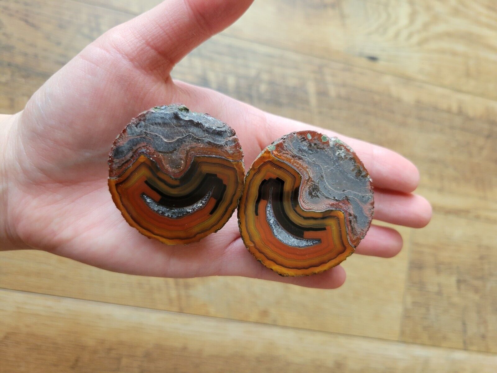 Warring States Agate Pair (Flighting blood Agate) Polished All Natural