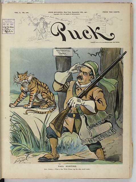 Fall hunting,B Odell,Tammany Hall,tigers,game,Presidential Timber,Dalrymple,1901