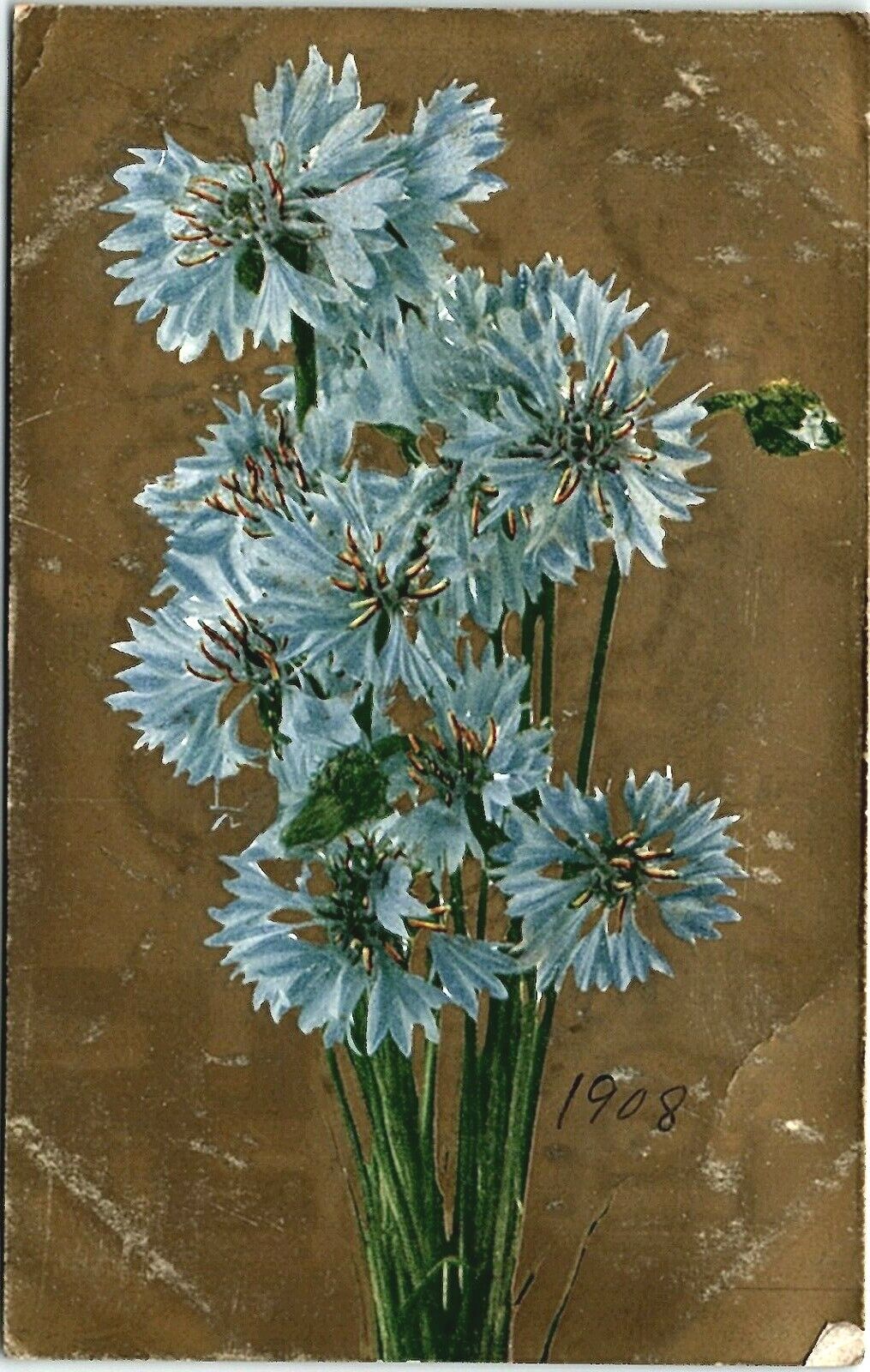 c1900s Botanical Blue Bouquet Floral Print Postcard Divided Back Posted Stamp
