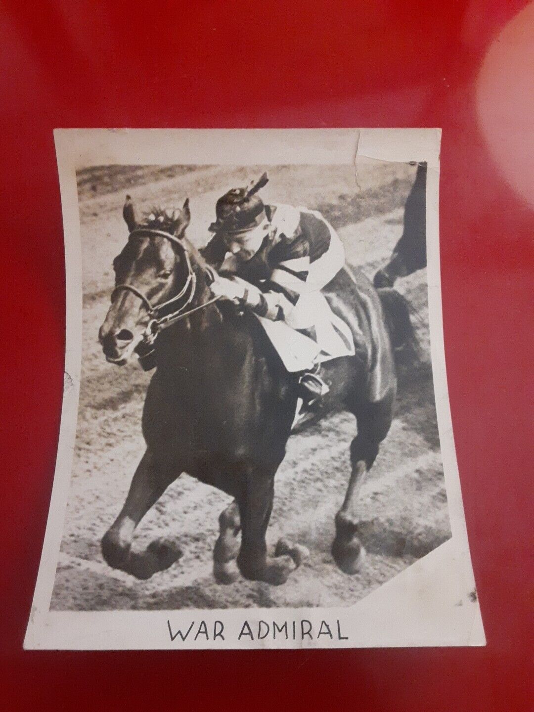 War Admiral , Race Horse Original Photo. 6.5x8.5 In Approx. Triple Crown Winner
