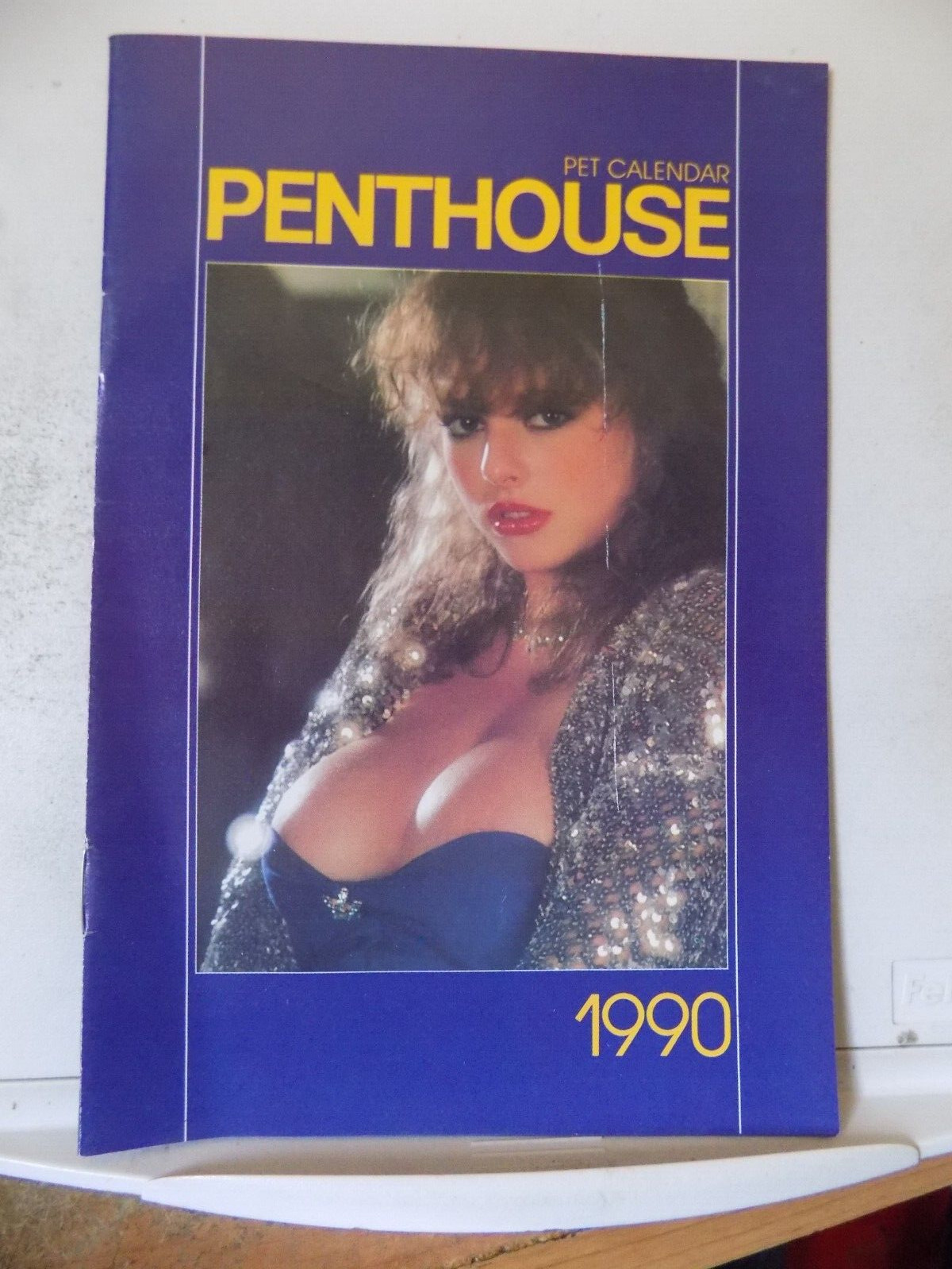 Penthouse Pet Calendar 1990 5.5\