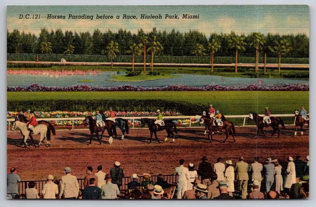 Hialeah Park Horses Parading for Race Miami FL Florida Postcard 