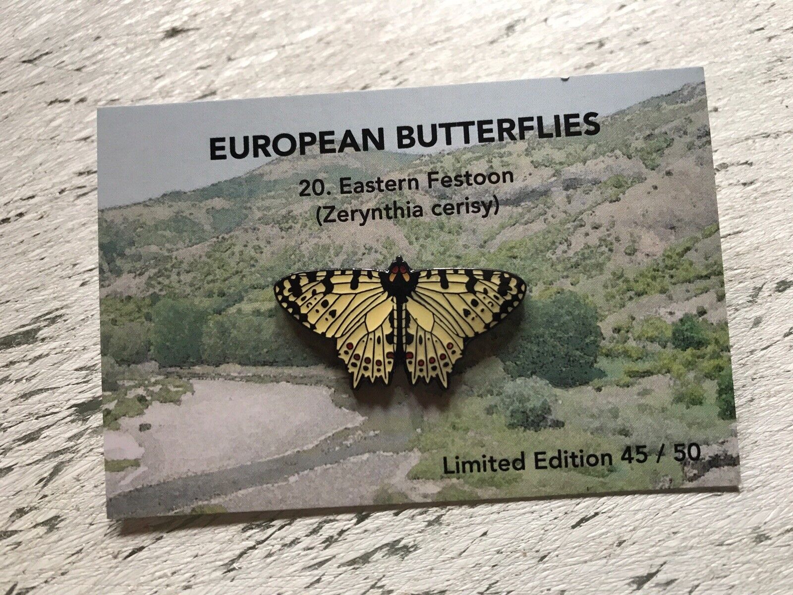 RSPB interest EASTERN FESTOON European Butterfly on Card. Enamel Pin Badge
