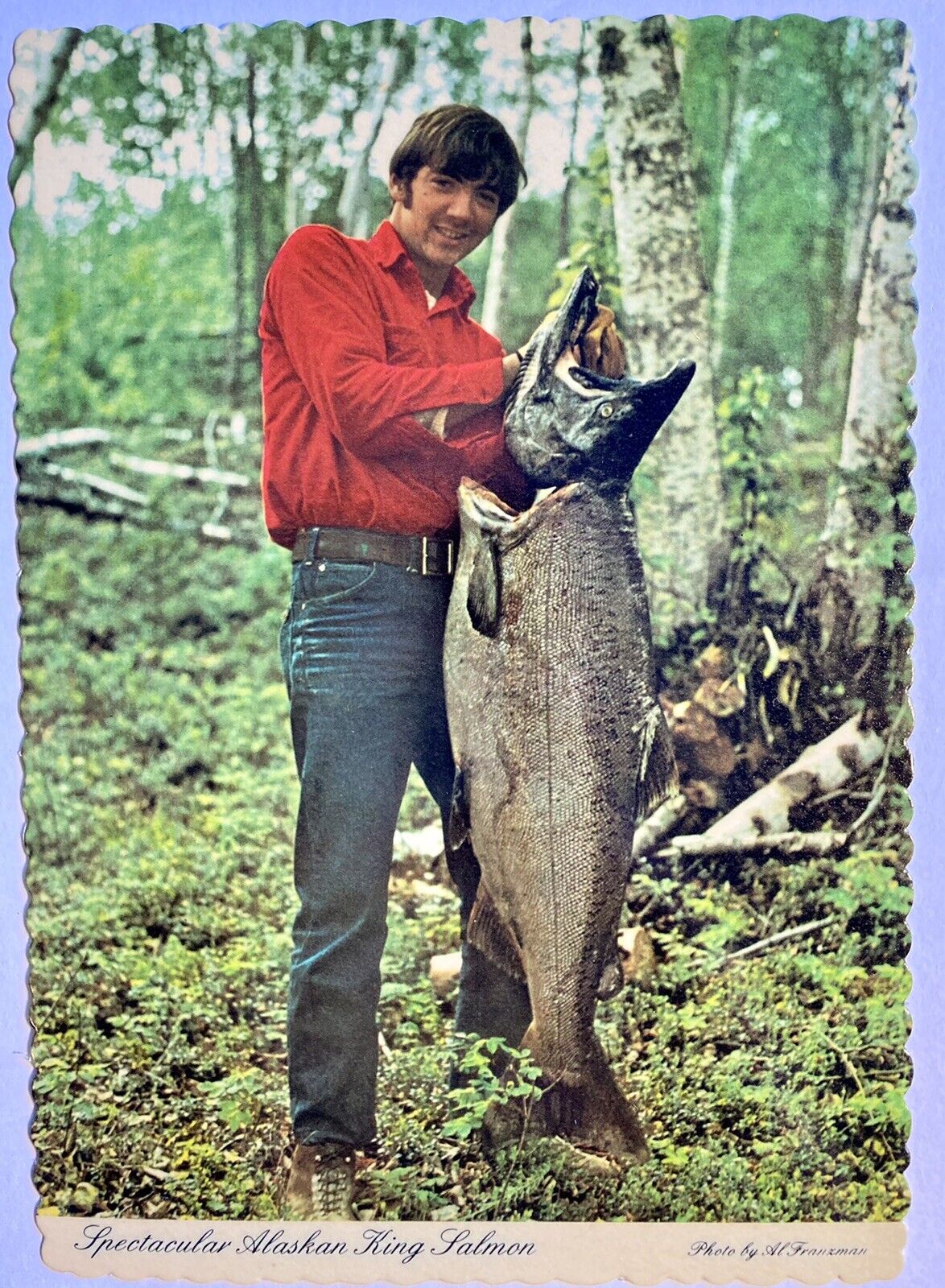 Alaskan King Salmon Vintage Alaska Postcard Giant Fish Dexter Press Souvenier