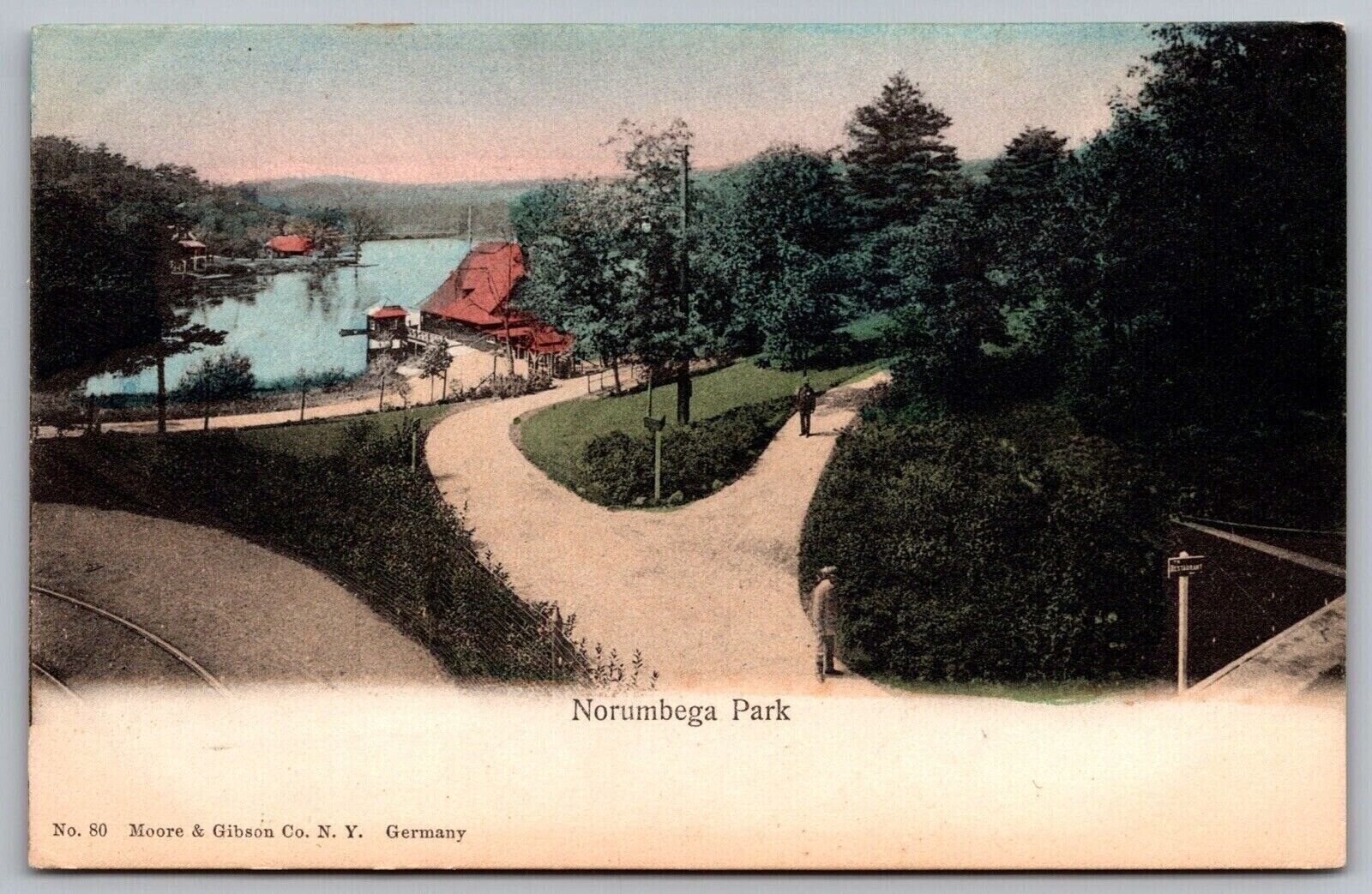 Norumbega Park Newton Massachusetts Birds Eye View Lakefront Mass VNG Postcard