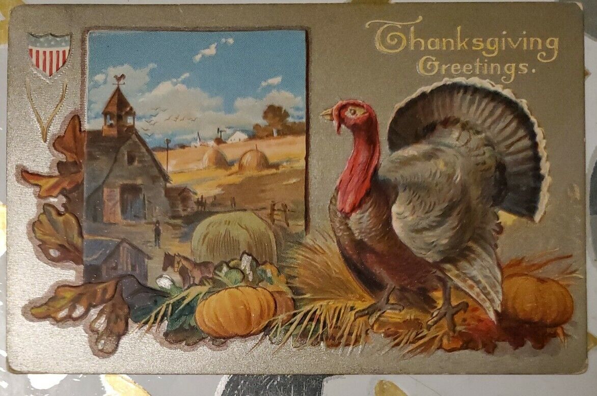 c 1900s Thanksgiving Greetings Postcard Tom Turkey Pastoral Scene Embossed x1909