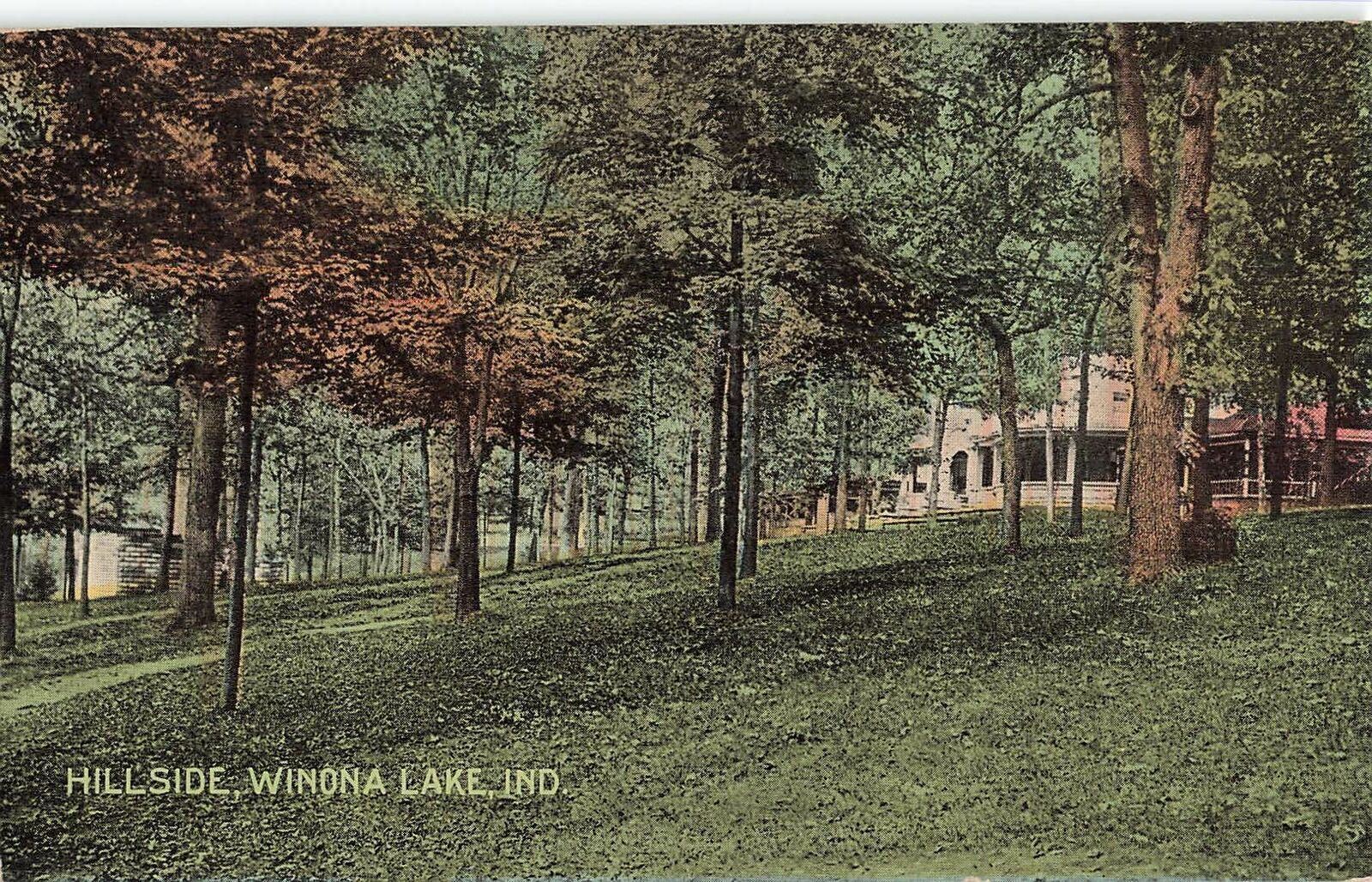 Vintage 1916 Postcard Hillside Winona Lake Indiana nature path green photo color