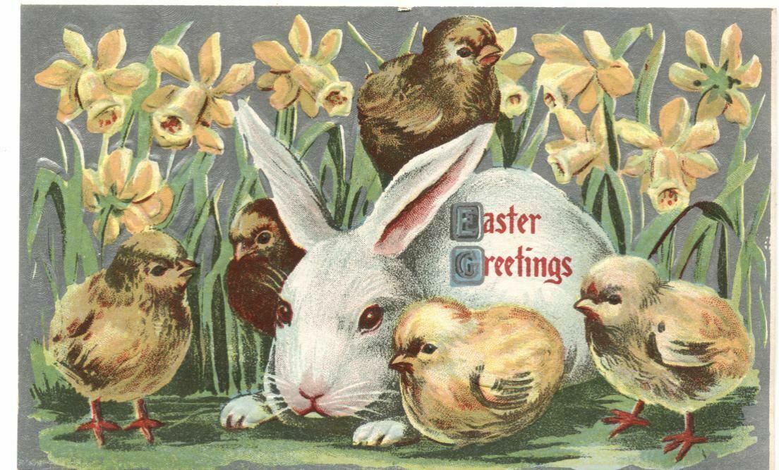 Postcard Best Easter Greetings Rabbit and Baby Chicks 