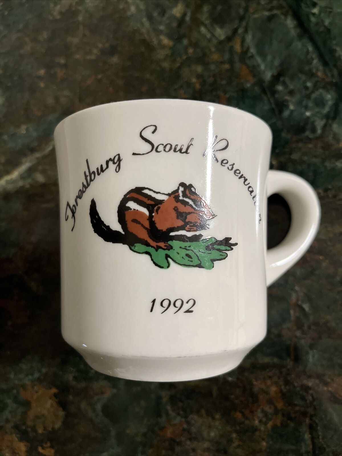 Boy Scouts Forestburg Scout Reservation Coffee Mugs Cup 1992 Vintage