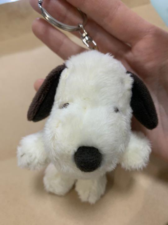 Snoopy m717  Keychain