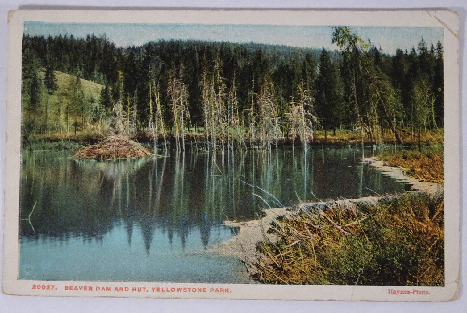 c1920s Postcard Beaver Dam & Hut Yellowstone National Park WY Unposted USA