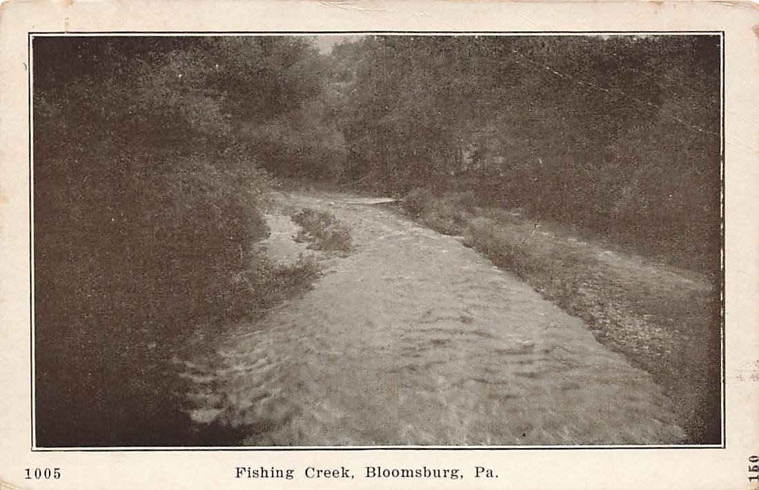 Vintage Fishing Creek Bloomsburg Pennsylvania PA P531