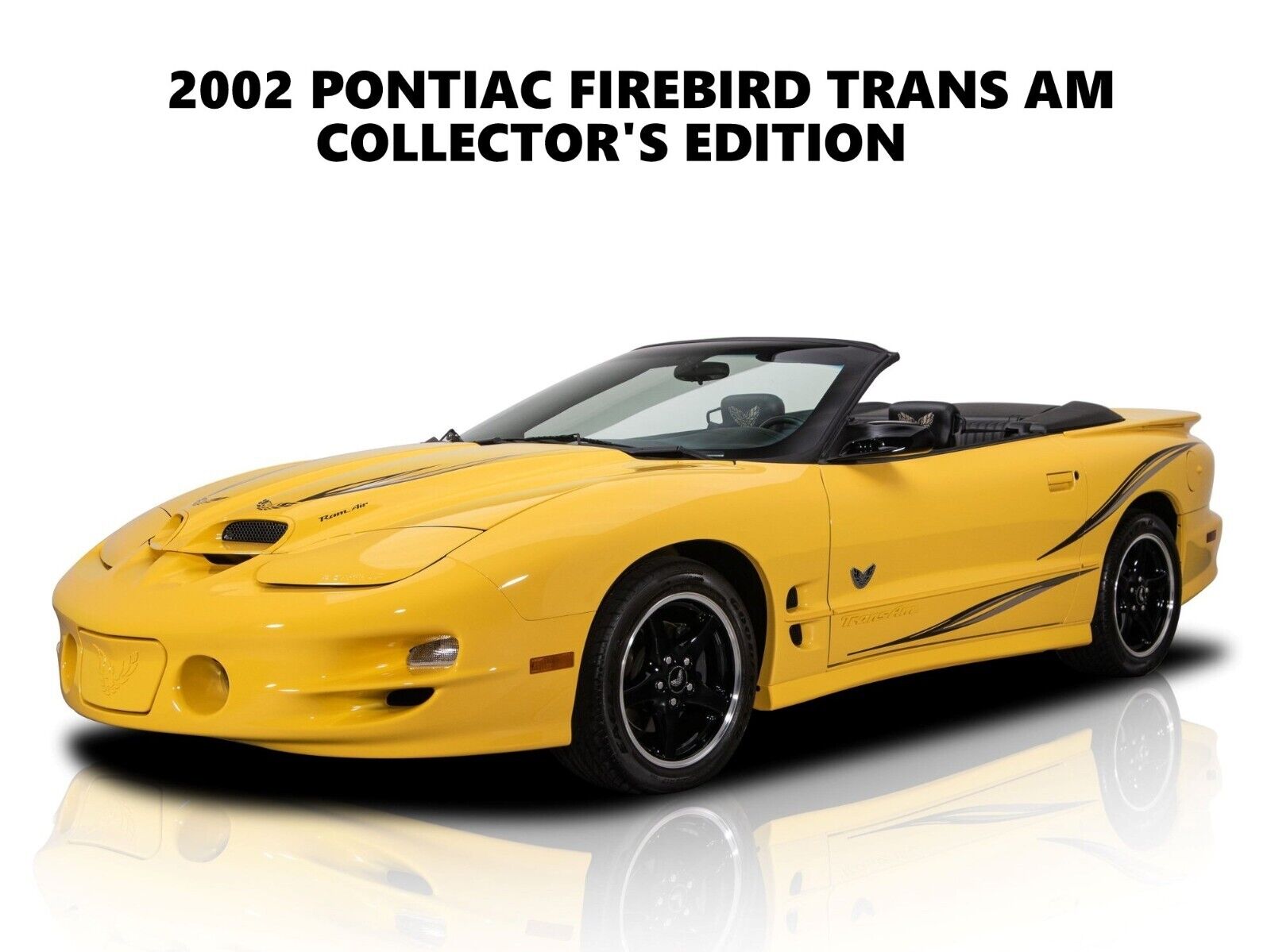 2002 Pontiac Firebird Trans Am NEW Metal Sign: Collector\'s Edition in Yellow