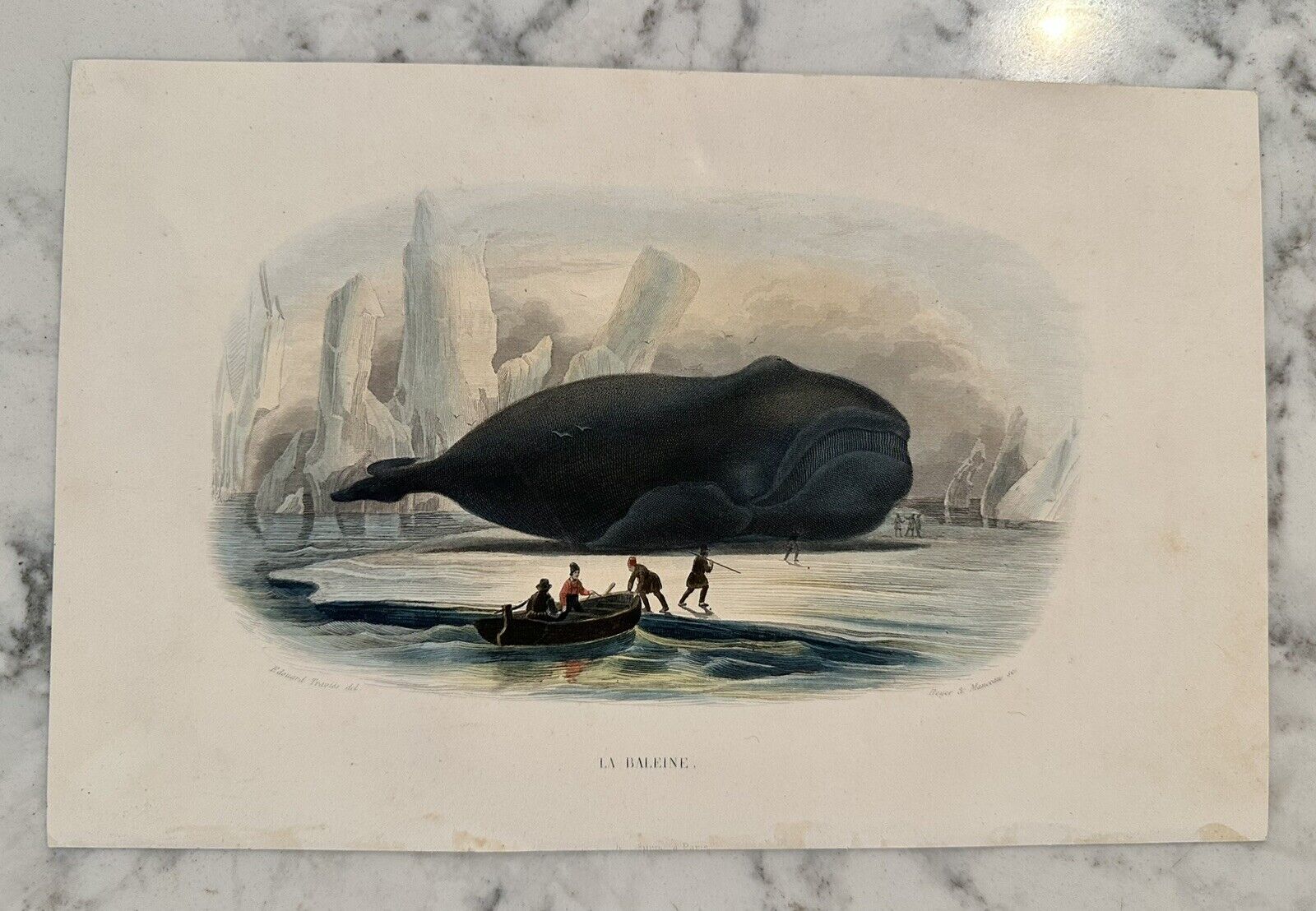 Antique Beyer & Manceau La Baleine Whale Whaling Hand Colored Engraving
