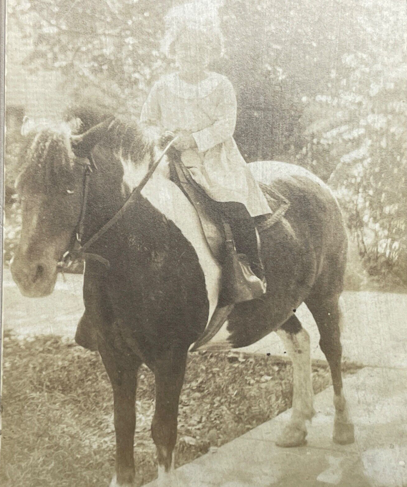 Antique Photo Board Mounted Girl Sitting on Shetland Pony Outside on Sidewalk