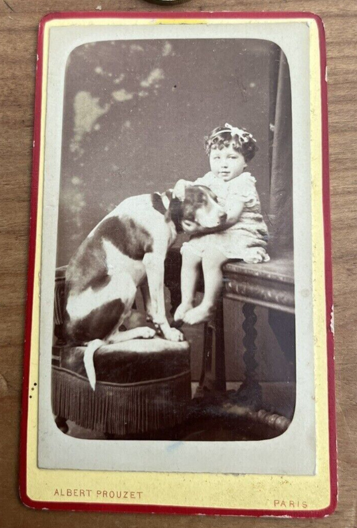 19Th Rare Antique Beautiful CDV Photograph of Little Young Girl with her Dog