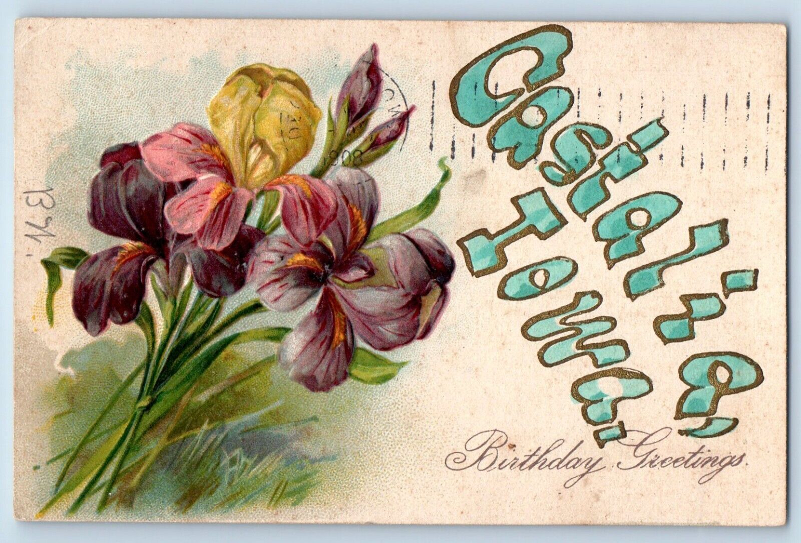 Castalia Iowa Postcard Birthday Greetings Flower Glitter Embossed c1909 Vintage