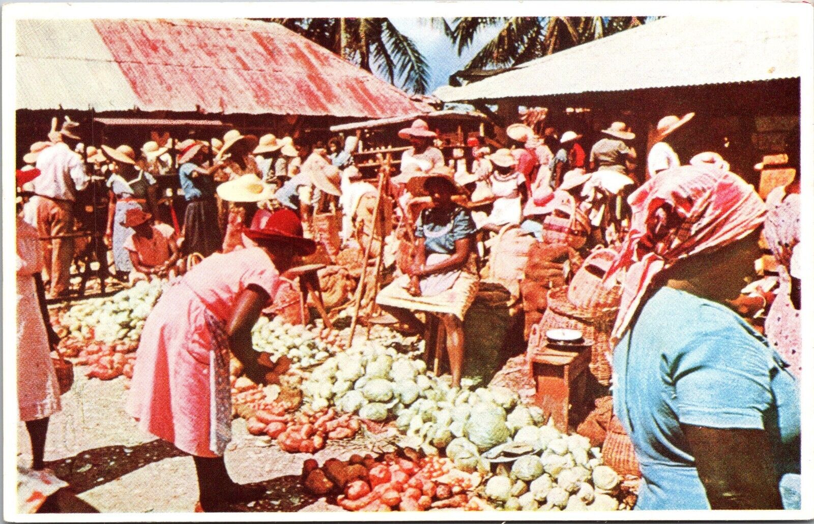 c1950's Scene at Market Day Jamaica B.W.I. Vintage Postcard  [ek]