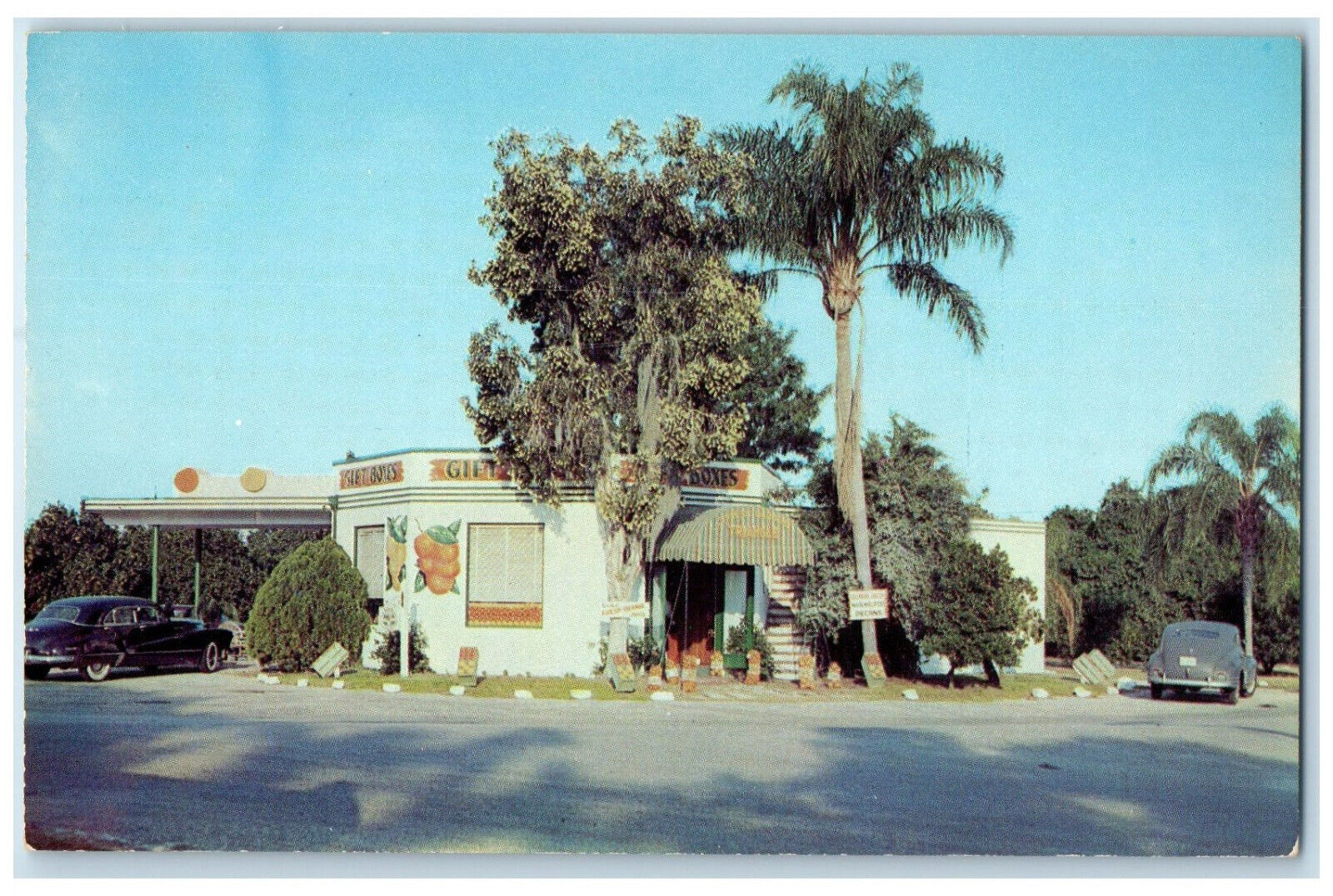 c1950s Entrance to Cypress Gardens Triangle Winter Haven FL Postcard