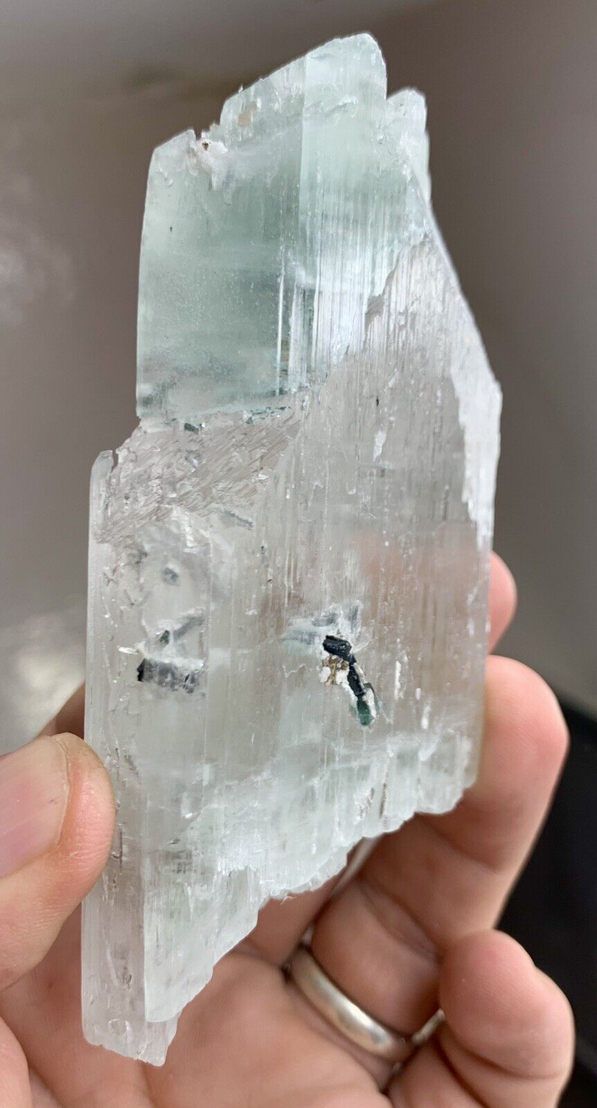 250 Grams DT Natural Kunzite Crystal Combined With Tourmaline From Afghanistan