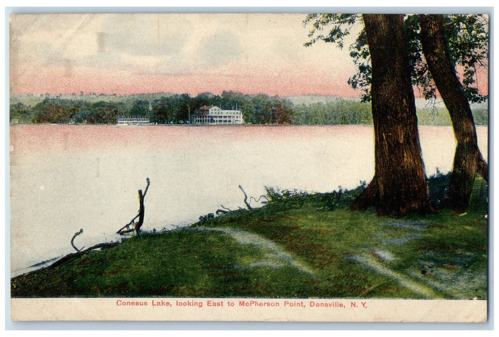 c1910 Conesus Lake Looking East to McPherson Point Dansville NY Postcard