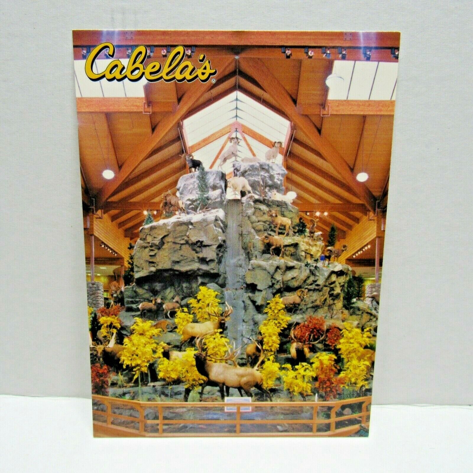 Postcard Cabela\'s Outfitter Dundee Michigan Conservation Mtn Collectible 4 x 6